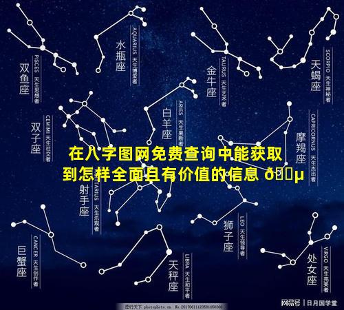 在八字图网免费查询中能获取到怎样全面且有价值的信息 🌵